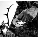 Gerber Vital Zip lovački nož za guljenje - Slika 2