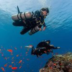 Tečaj ronjenja - osnovni L2 - Slika 2